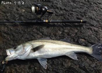 �����Х�