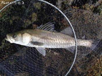 �����Х�