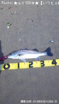 �����Х�