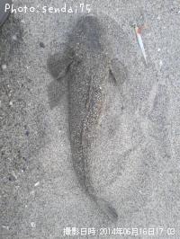 �ޥ���