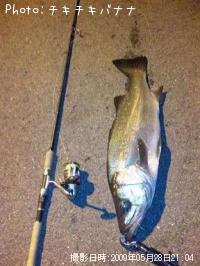 �ҥ饹����