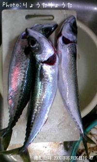 ���ޥ���