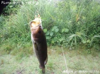 ¥Ö¥é¥Ã¥¯¥Ð¥¹