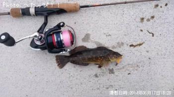 �����ʥ�