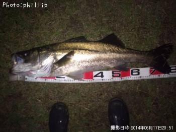 �����Х�