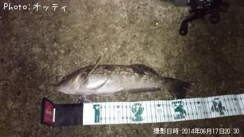 �����ʥ�