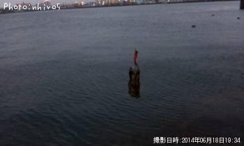 ¥¢¥ª¥ê¥¤¥«