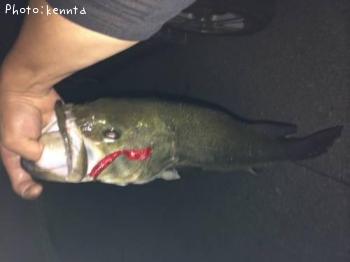 �֥�å��Х�