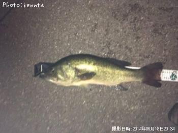 �֥�å��Х�