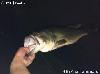 �֥�å��Х�