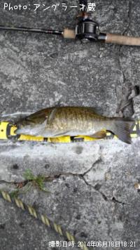 ���⡼��ޥ����Х�