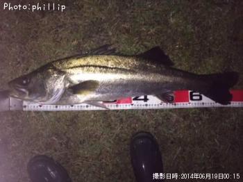 �����Х�