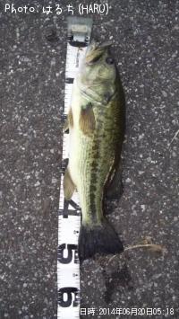 �֥�å��Х�