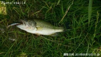 ¥Ö¥é¥Ã¥¯¥Ð¥¹