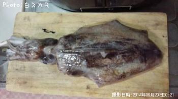 �����ꥤ��