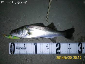 ¥·¡¼¥Ð¥¹£²