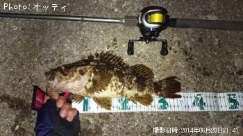 �٥å�������