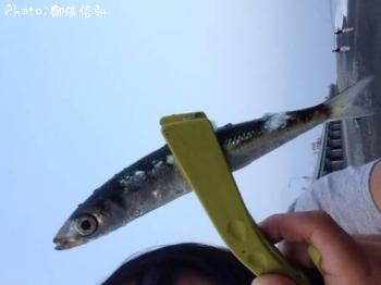 �ȥ����������亮