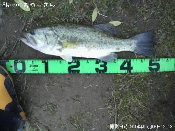 ¥Ö¥é¥Ã¥¯¥Ð¥¹