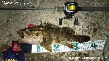 �٥å�������