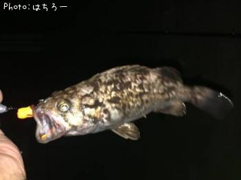 �٥å�������