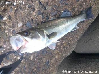 �����Х�