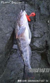 �����ʥ�