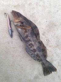 �����ʥ�