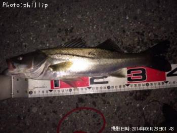 �����Х�