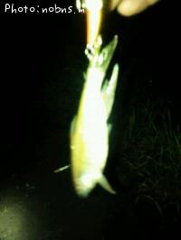 ��ޥ�