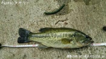 �֥�å��Х�