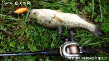 �顼���ޥ����Х�