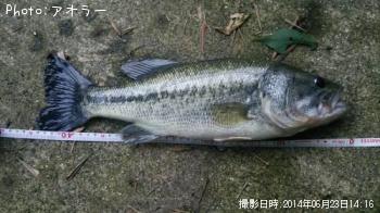 �֥�å��Х�