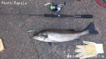 �����Х�