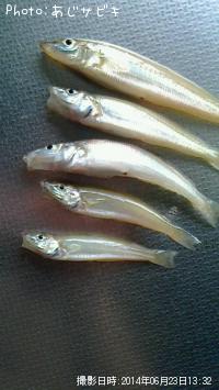 �����ȥե�