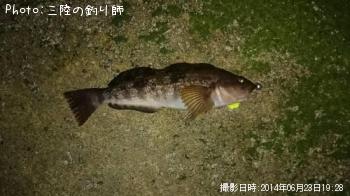 �����ʥ�