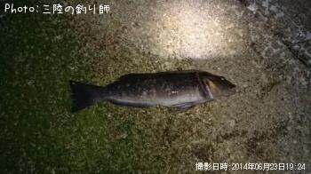 �����ʥ�