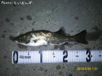 �����Х�