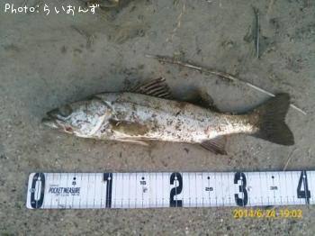 �����Х�