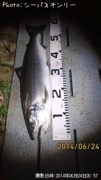 ¥µ¥¯¥é¥Þ¥¹