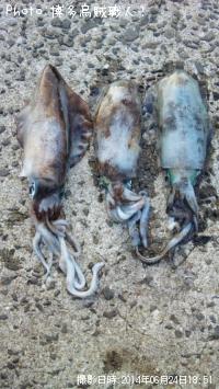 �����ꥤ��