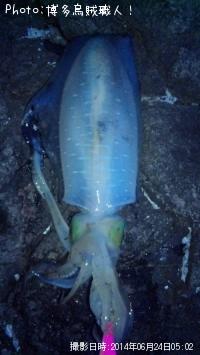 �����ꥤ��