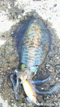 �����ꥤ��