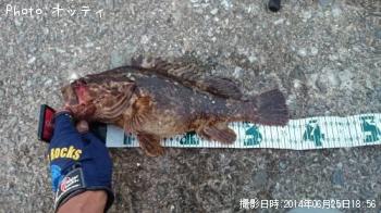 �٥å�������