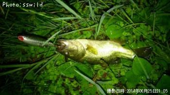 ¥Ö¥é¥Ã¥¯¥Ð¥¹