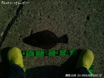 �ҥ��
