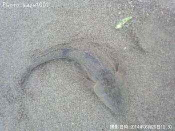 �ޥ���