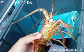 ������Ϸ