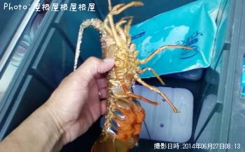 ������Ϸ