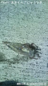 ����ᥤ��